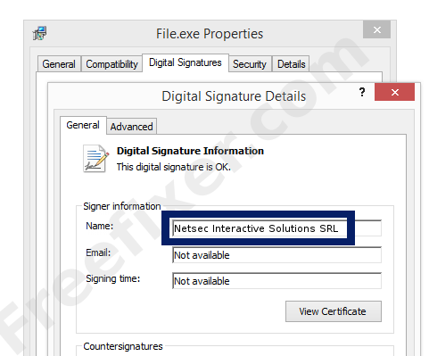 Screenshot of the Netsec Interactive Solutions SRL certificate